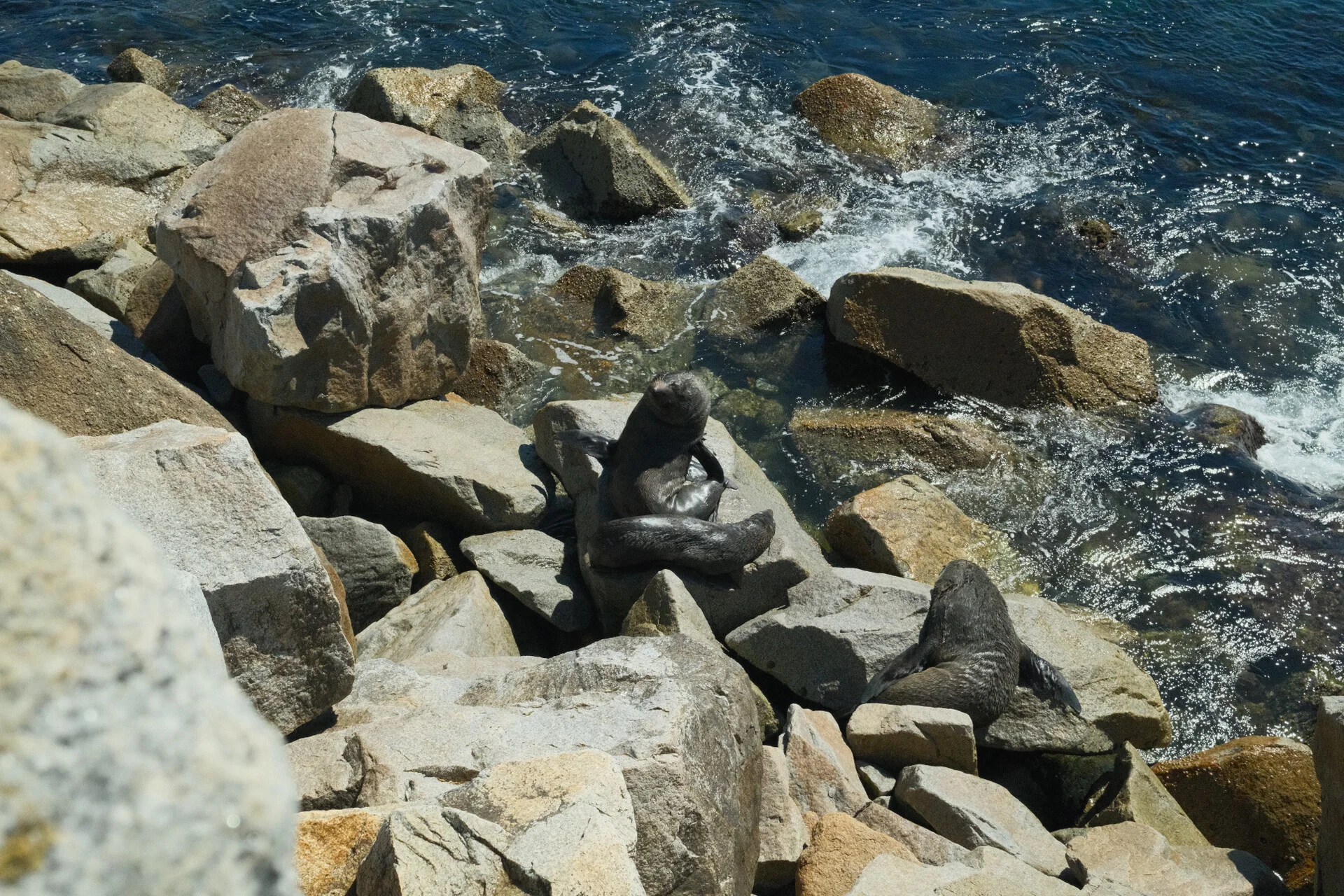 Narooma