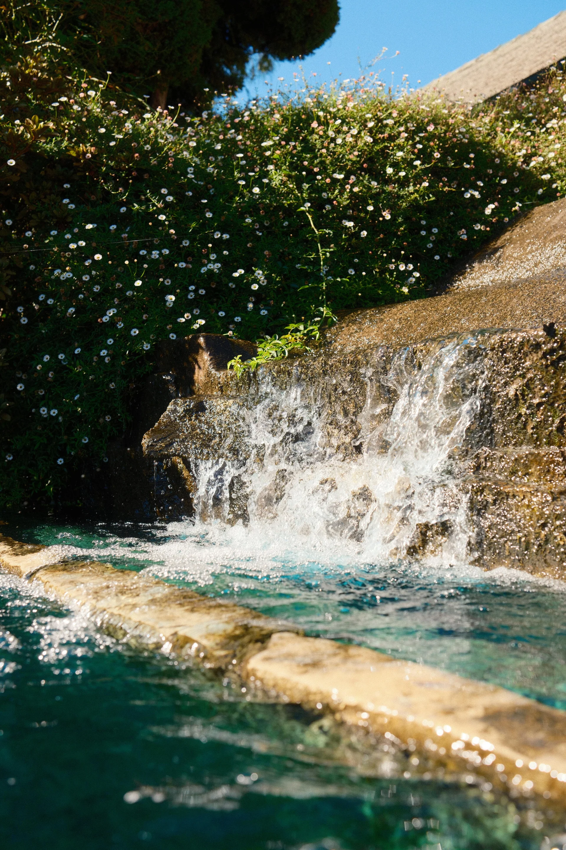 Cockington Green Gardens